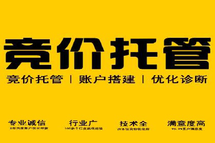 深入解析SEM竞价培训：成功企业的投放策略