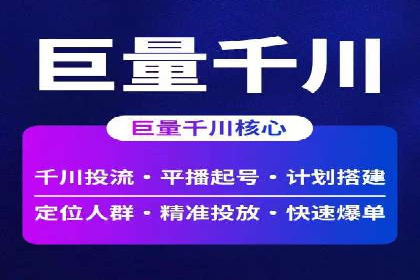 XX行业竞价广告的投放策略与效果分析